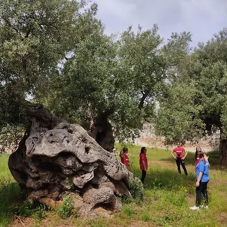 Dimora Palmieri Bed & Breakfast 4*