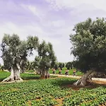 Dimora Palmieri ベッド・アンド・ブレックファスト 4*