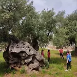 Dimora Palmieri ベッド・アンド・ブレックファスト 4*