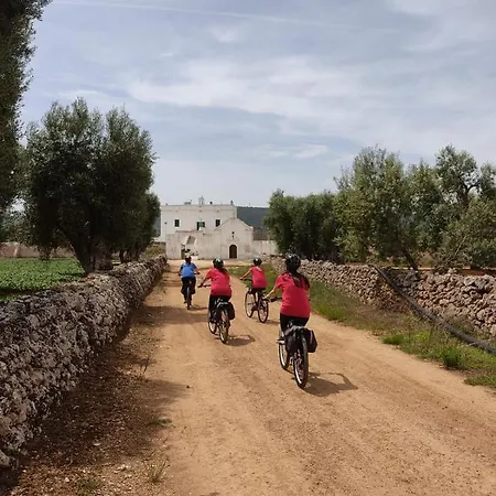 Dimora Palmieri 住宿加早餐酒店 4*